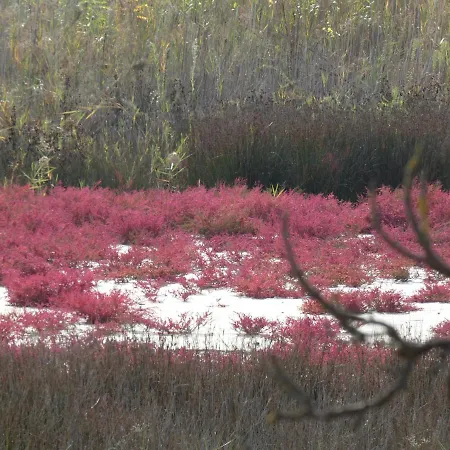 Casa Licanio * Bibione