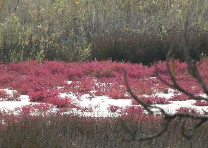 Casa Licanio * Bibione